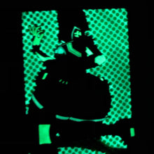 Load image into Gallery viewer, Poison Girl (3.25-inch)